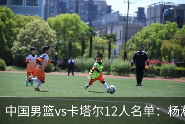 中国男篮vs卡塔尔12人名单：杨瀚森胡金秋领衔 程帅澎李悦洲无缘